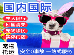揭阳机场空运国际宠物托运 【国